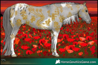 Horse Color:Grullo Tobiano Blanket 
