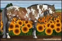 Horse Color:White Spotted Brown 