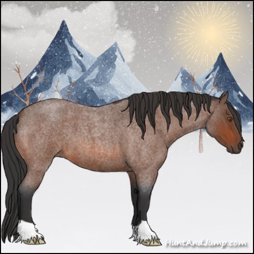 Horse Color:Bay Roan 