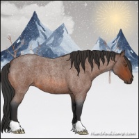 Horse Color:Bay Roan 