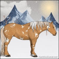 Horse Color:White Spotted Palomino 