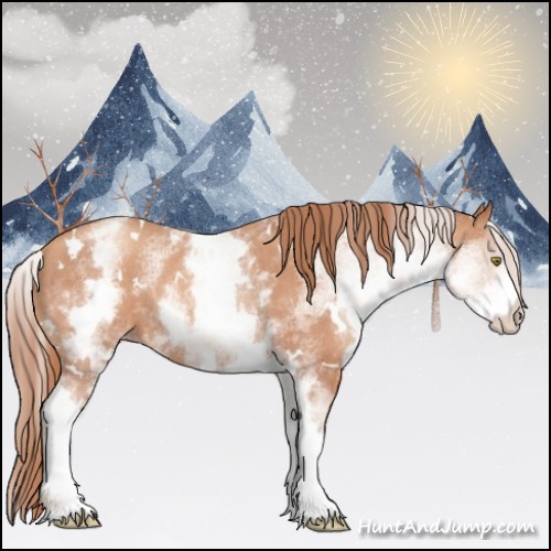 Horse Color:White Spotted Gold Champagne Rabicano 