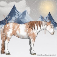 Horse Color:White Spotted Gold Champagne Rabicano 