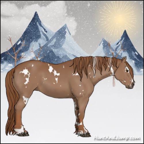 Horse Color:White Spotted Chestnut Sabino 