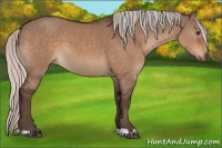 Horse Color:Silver Brown Dun