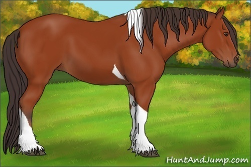 Horse Color:Brown Tobiano 