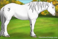 Horse Color:White Spotted Brown Ice Tobiano Appaloosa