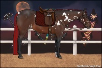 Horse Color:Painted White Spotted Brown 