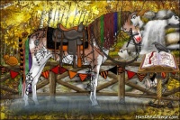 Horse Color:Painted Bay Splash 