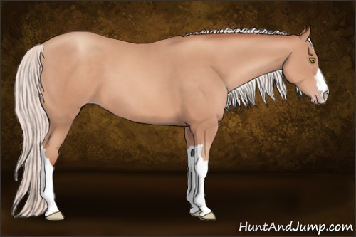 Horse Color:Silver Sable Champagne 