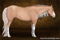 Horse Color:Silver Sable Champagne 