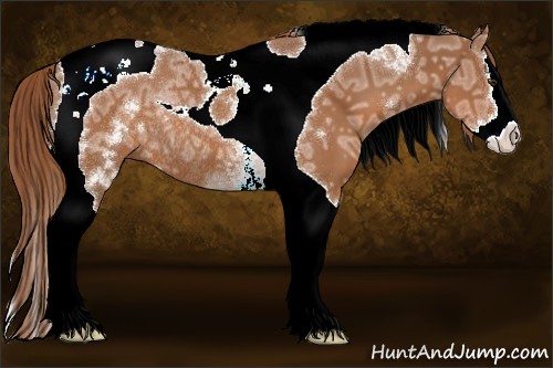 Horse Color:White Spotted Chestnut Ice Splash Tobiano Rabicano 