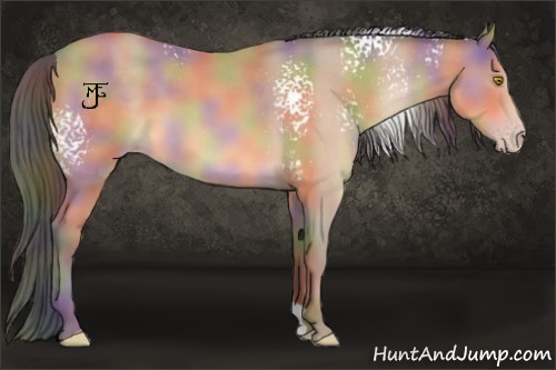 Horse Color:Nacre White Spotted Amber Champagne 