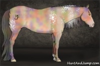 Horse Color:Nacre White Spotted Amber Champagne