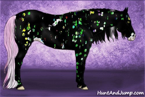 Horse Color:Watercolor Amber Champagne Ice Dun Sabino Appaloosa 