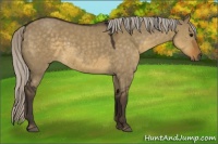 Horse Color:Silver Smoky Grullo 
