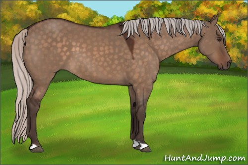Horse Color:Silver Brown Dun