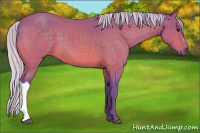 Horse Color:Watercolor Silver Brown 
