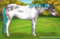 Horse Color:Painted Liver Chestnut Sabino Tobiano Frame 