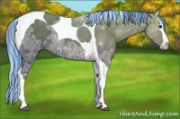 Horse Color:Painted Silver Bay Ice Splash Tobiano Rabicano 