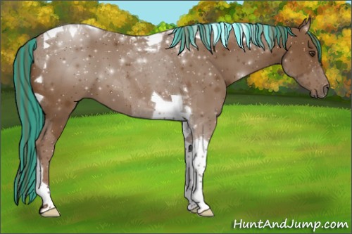Horse Color:Painted Chestnut Tobiano 