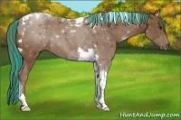 Horse Color:Painted Chestnut Tobiano 