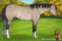 Horse Color:Brown Dun Rabicano 