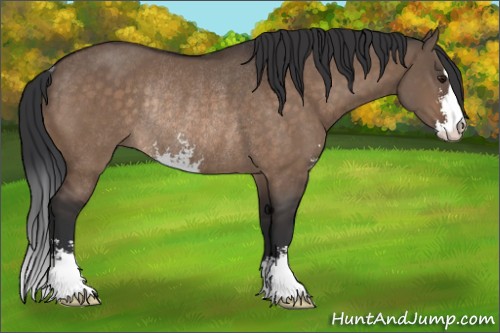 Horse Color:Brown Dun Sabino Rabicano 
