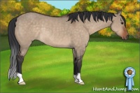 Horse Color:Brown Dun Rabicano 