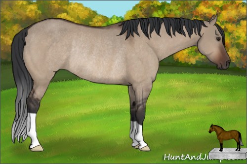 Horse Color:Brown Dun Rabicano 