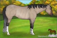 Horse Color:Brown Dun Rabicano 