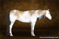 Horse Color:White Spotted Buckskin Dun Rabicano