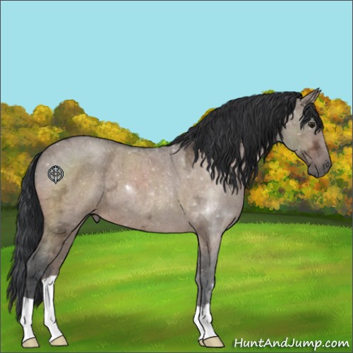 Horse Color:Brown Ice Roan Dun 