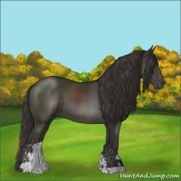 Horse Color:Smoky Black Sabino 