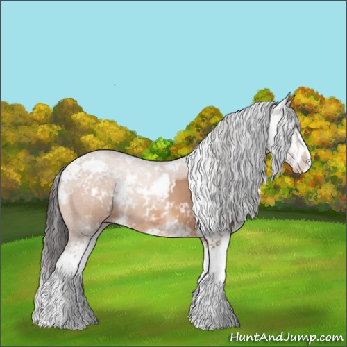 Horse Color:Sable Champagne Sabino 