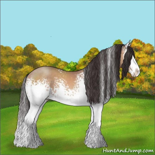 Horse Color:White Spotted Sable Champagne Splash