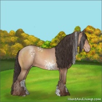 Horse Color:White Spotted Sable Champagne Rabicano 