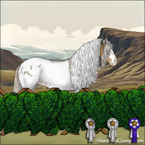 Horse Color:White Spotted Silver Smoky Black Tobiano Near Leopard