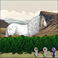 Horse Color:White Spotted Silver Smoky Black Tobiano Near Leopard 