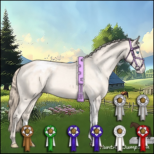 Horse Color:White Spotted Perlino Blanket