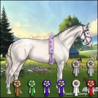 Horse Color:White Spotted Perlino Appaloosa 