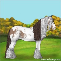 Horse Color:White Spotted Classic Champagne Tobiano