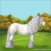 Horse Color:Silver Classic Champagne Sabino Tobiano 