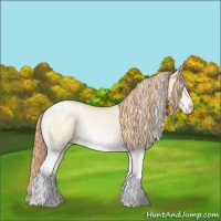 Horse Color:White Spotted Classic Cream Champagne Pearl Blanket 