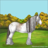 Horse Color:White Spotted Classic Champagne Sabino 