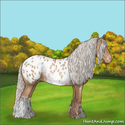 Horse Color:White Spotted Silver Black Pearl Appaloosa 