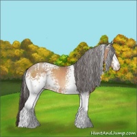 Horse Color:White Spotted Sable Champagne 