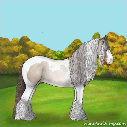 Horse Color:Classic Champagne Sabino Tobiano 