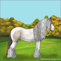 Horse Color:Classic Champagne Sabino Tobiano