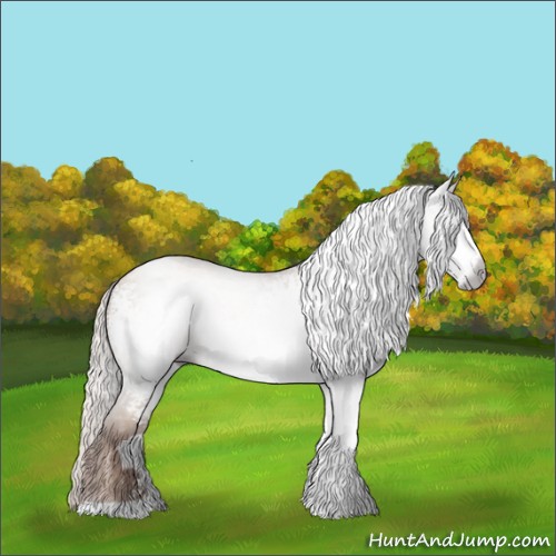 Horse Color:Gray White Spotted Silver Sable Champagne